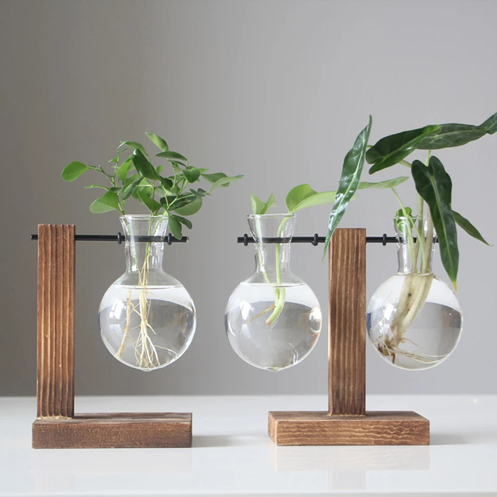 Creative Glass Desktop Planter Bulb Vase Wooden Stand Decor