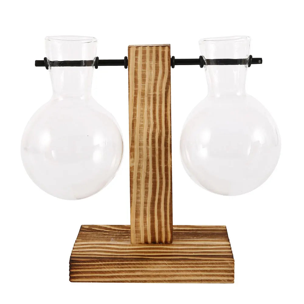 Creative Glass Desktop Planter Bulb Vase Wooden Stand Decor